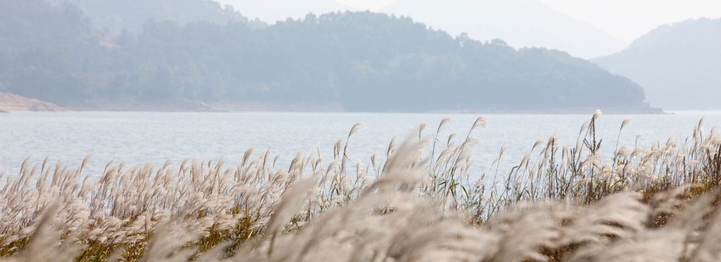 Paisaje Pampas, Mar y Montaña